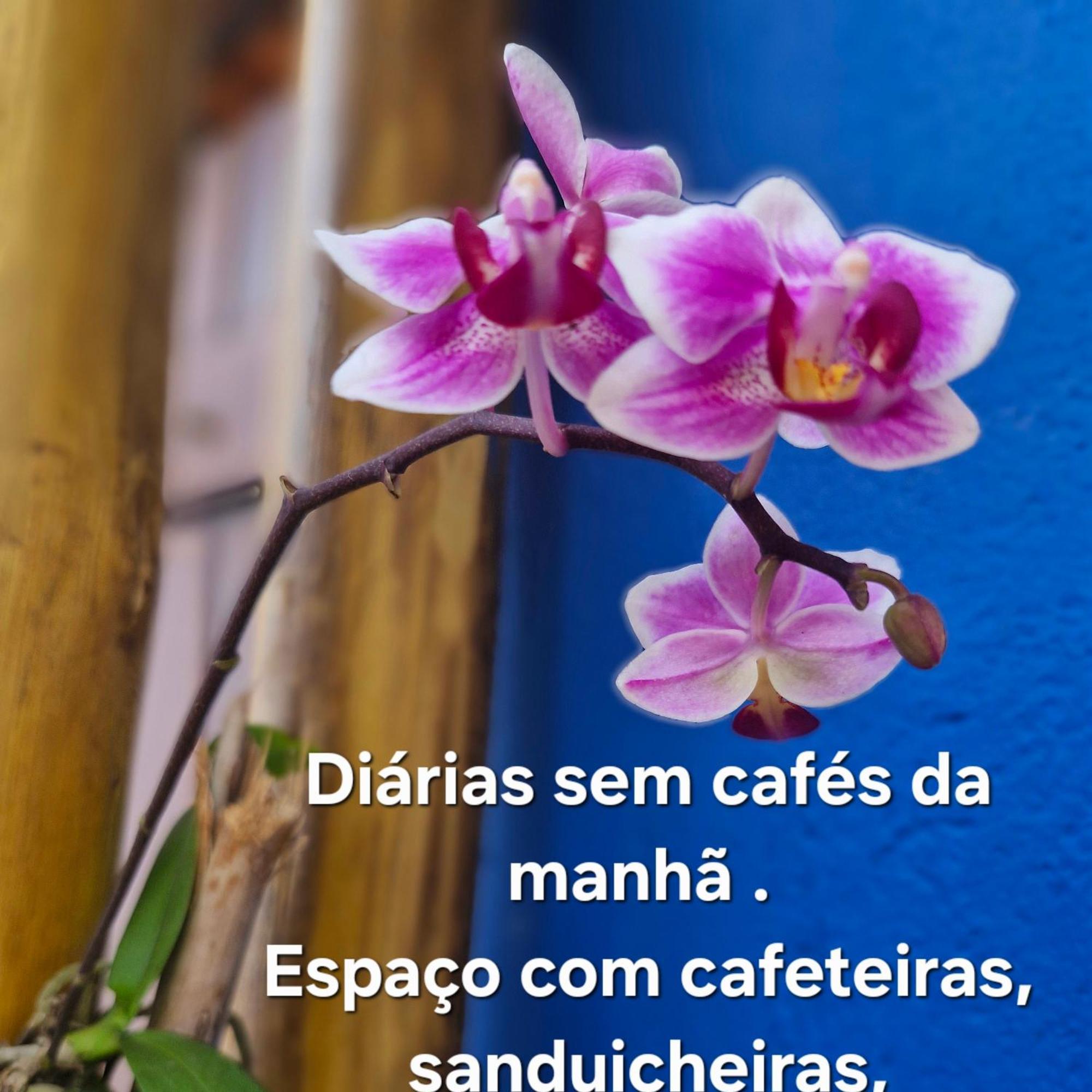 A Ver O Mar Suites Cocanha Caraguatatuba Kültér fotó